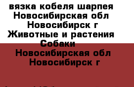 вязка кобеля шарпея - Новосибирская обл., Новосибирск г. Животные и растения » Собаки   . Новосибирская обл.,Новосибирск г.